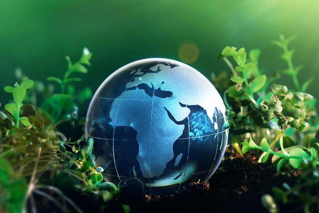 Sustainability Highlights