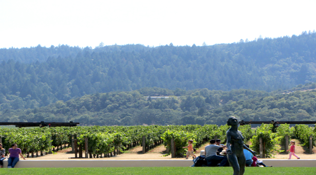The Napa Valley (Credit, Randy Yagi) NapaValley Americas Best High End Restaurants