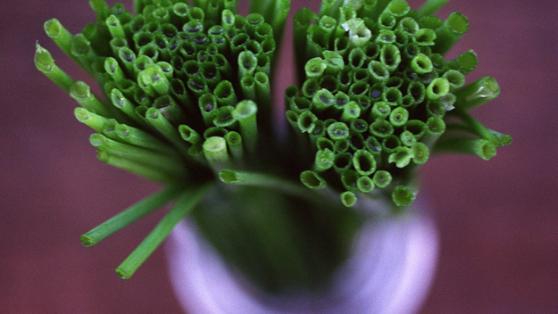 Chives Photo Credit Ross Land/Getty Images