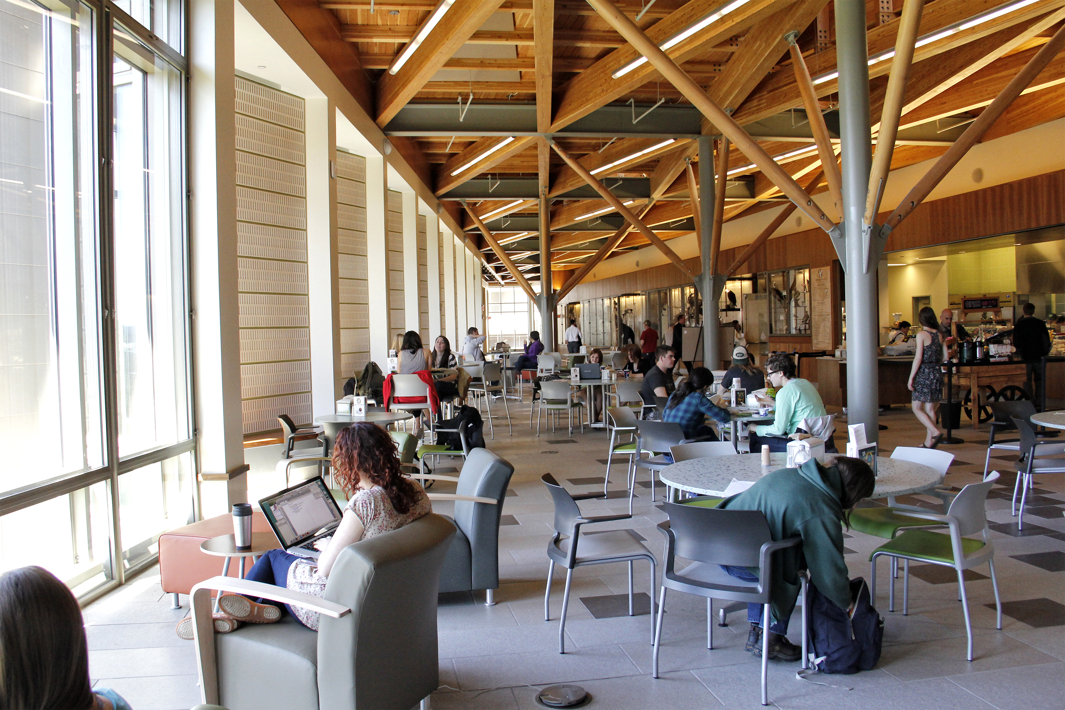 A bright future in sustainability at SUNY College of Environmental