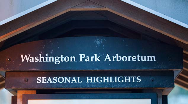 Washington Park Arboretum WPArboretum OT Best Free Attractions Near Seattle