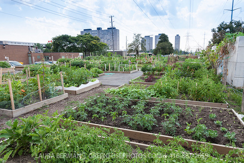 community garden plot design